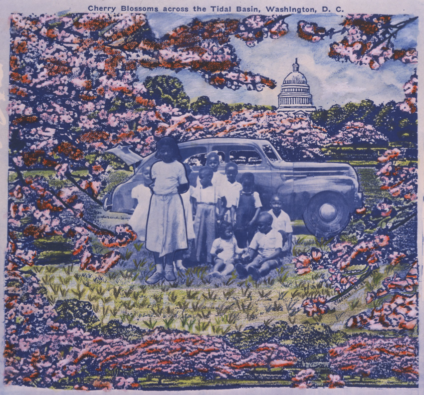3_Cherry Blossoms_1984_3x2.5