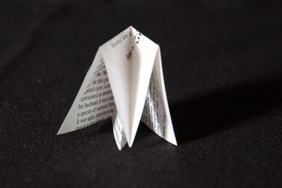 7_CraneStep4B_CROP_5x4