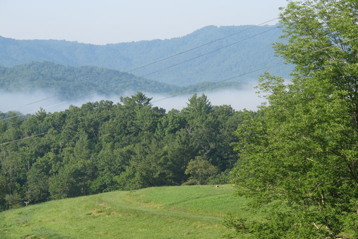 Penland Fog